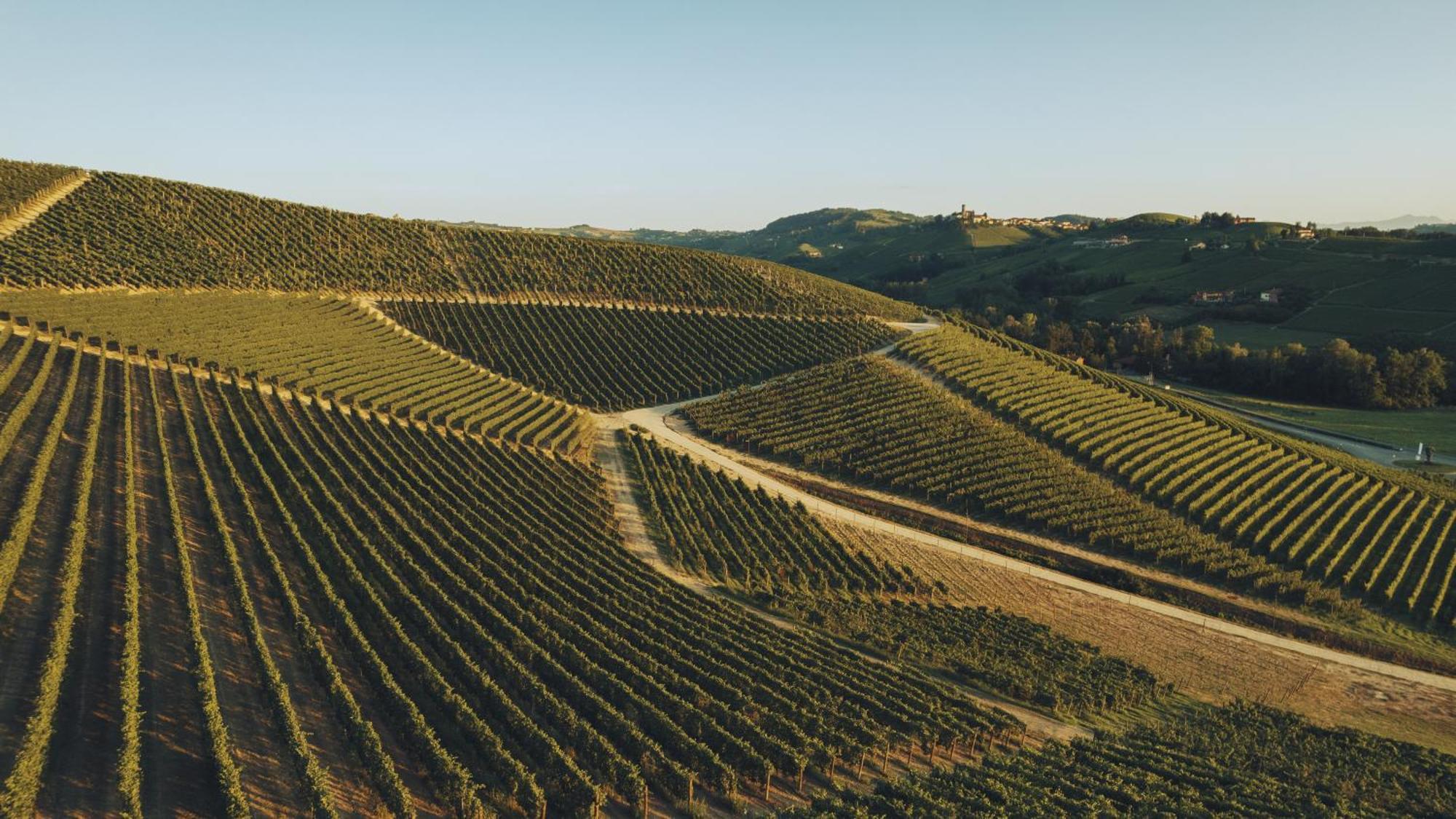 Villaggio Narrante - Le Case Dei Conti Mirafiore Serralunga d'Alba Extérieur photo